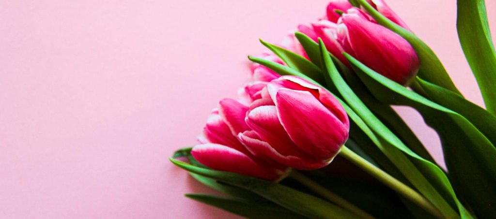 15 Best Affordable Spring Decor Under $25 (2026&nbsp;Ideas)